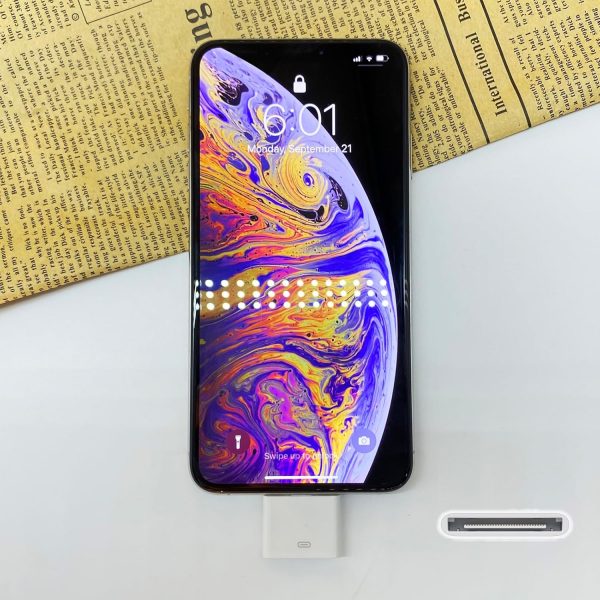 WORLDBOYU Lightning to 30 Pin Adapter Charging Sync Connecto... - Image 3