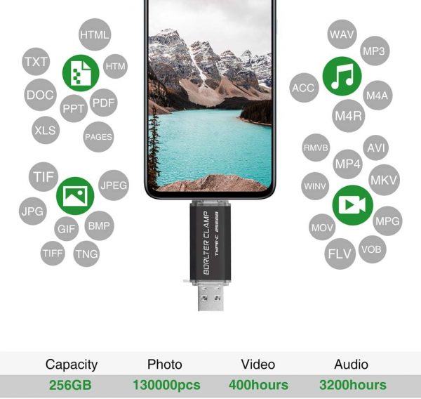 256GB USB 3.0 Type C Flash Drive Dual Port, BorlterClamp USB... - Image 7