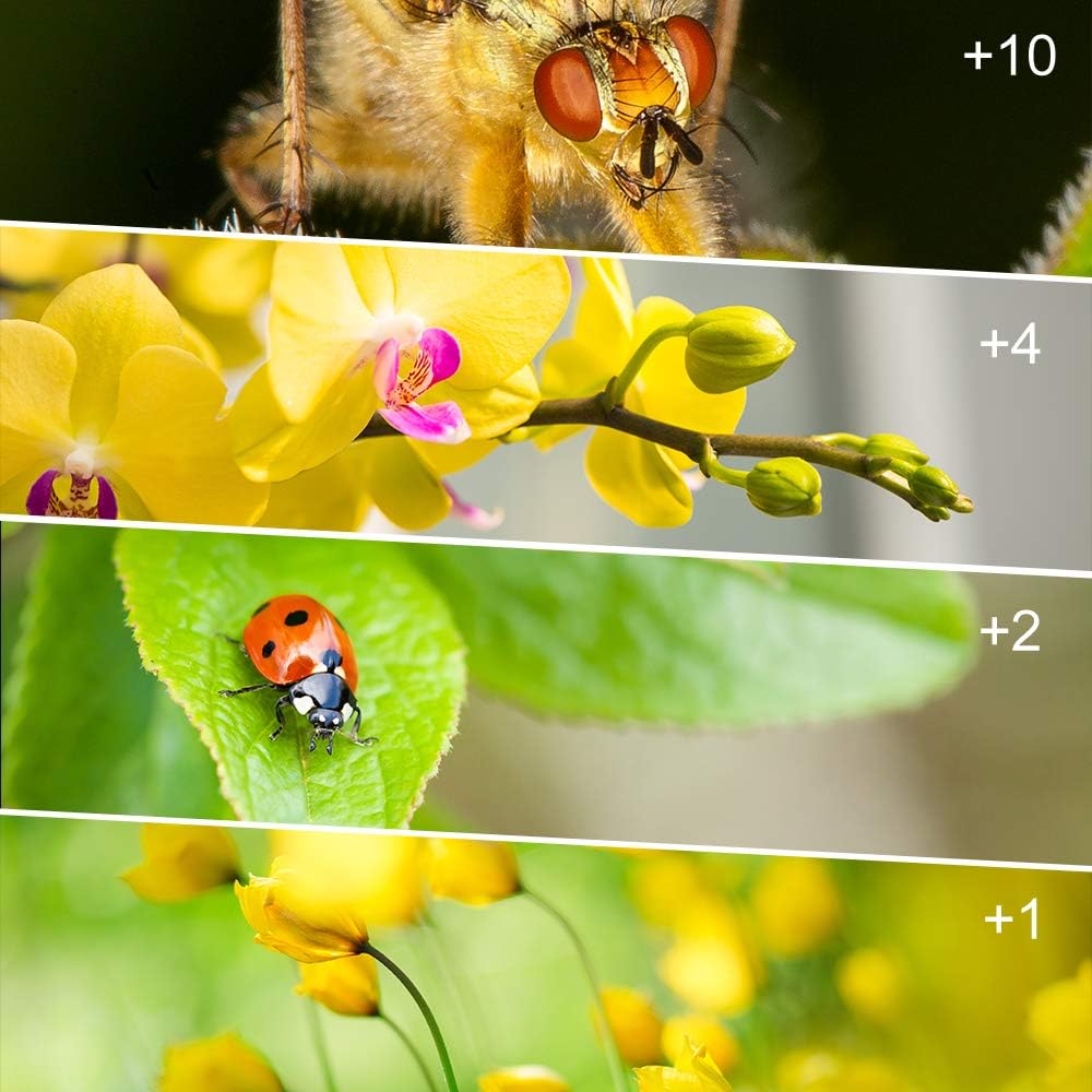 82mm Close-up Filter Kit,Fotover 4 Pieces(+1,+2,+4,+10) Macr... - Image 5