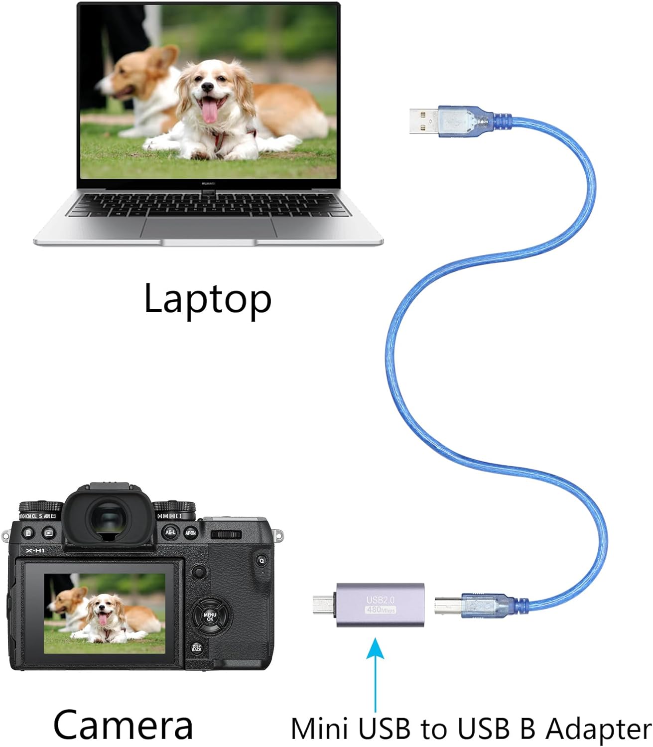 USB 2.0 B Type Connector Adapter, Mini USB Male to USB B (MI... - Image 7